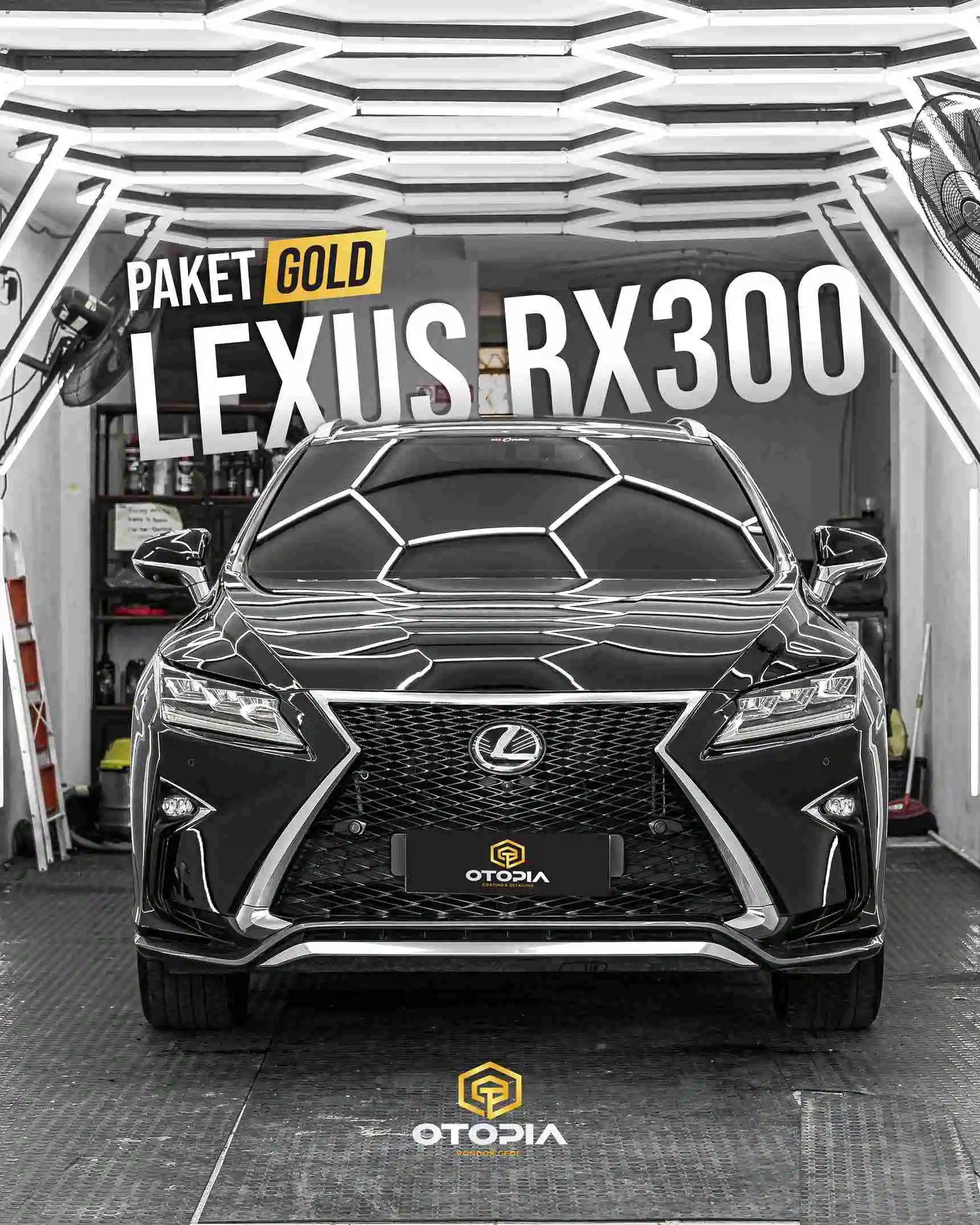 rx300
